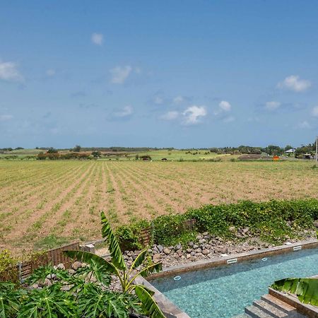 T2 Moderne Avec Piscine Oasis De Nature Et Serenite Petit-Canal 外观 照片